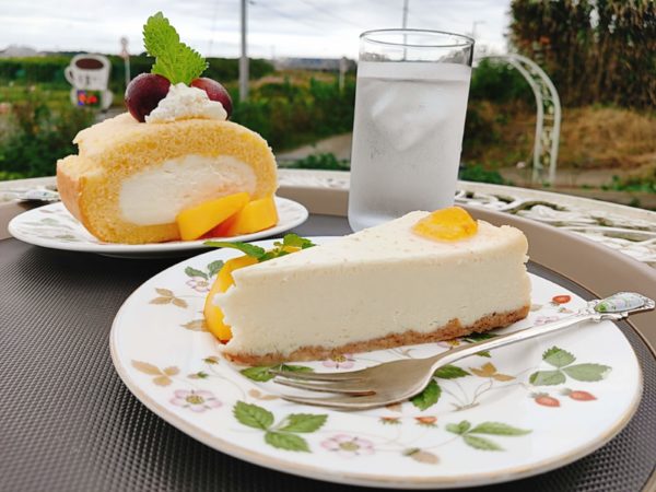 【千葉県柏市】絶景の中、健康的なランチと絶品デザートを楽しめる！千葉県「手賀カフェ」