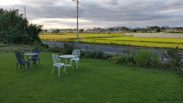 【千葉県柏市】絶景の中、健康的なランチと絶品デザートを楽しめる！千葉県「手賀カフェ」